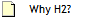 Why H2?